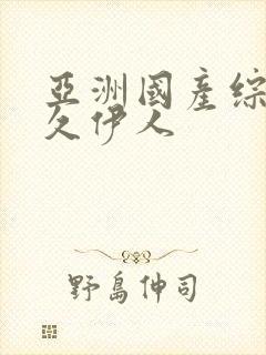 亚洲国产综合久久伊人