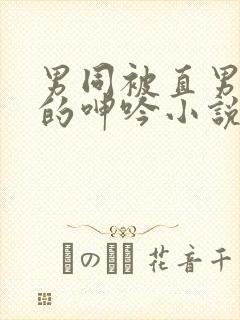 男同被直男玩弄的呻吟小说