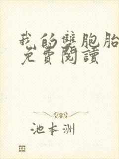 我的双胞胎老婆免费阅读