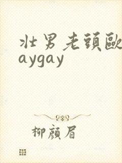 壮男老头欧美gaygay