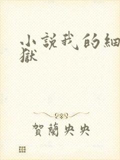 小说我的细胞监狱