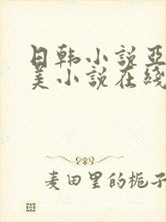 日韩小说亚洲欧美小说在线