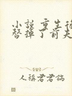 小说 重生后我替掉了前夫白月光