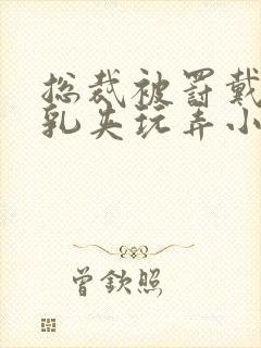 总裁被罚戴玉势乳夹玩弄小说