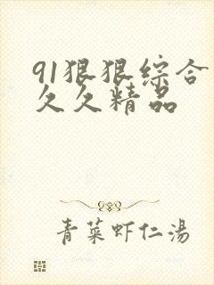 91狠狠综合久久久精品