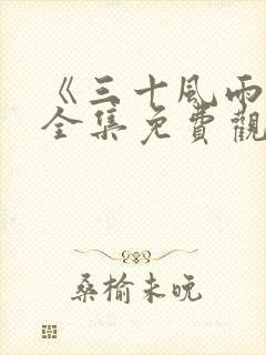 《三十风雨路》全集免费观看