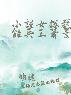 小说女总裁的全能兵王萧晨