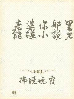 老婆你哪里我不能碰小说免费阅读