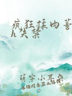 疯狂揉肉蒂高潮h失禁