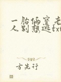 一胎俩宝老婆大人别想逃txt下载