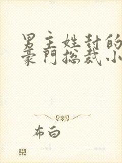 男主姓封的所有豪门总裁小说