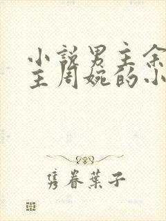 小说男主余年女主周婉的小说