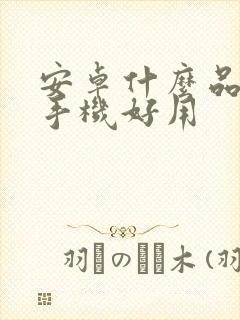 安卓什么品牌的手机好用