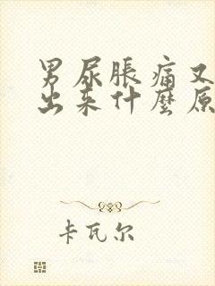 男尿胀痛又拉不出来什么原因