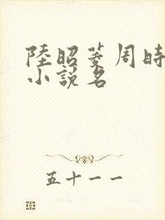 陆昭菱周时阅的小说名