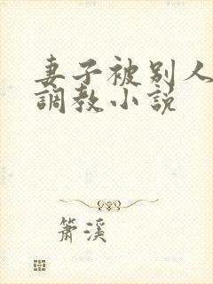 妻子被别人征服调教小说