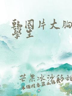 韩国片大胸女大学生