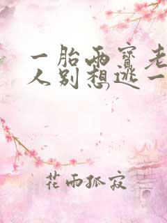 一胎两宝老婆大人别想逃一共多少章