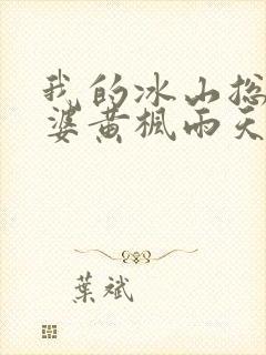 我的冰山总裁老婆黄枫雨天