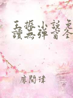 王振小说免费阅读无弹窗全文