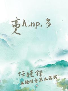 高h,np,多人