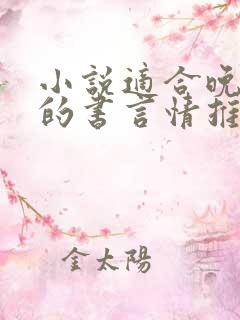 小说适合晚上看的书言情推荐