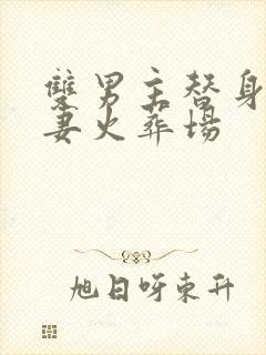 双男主替身梗追妻火葬场