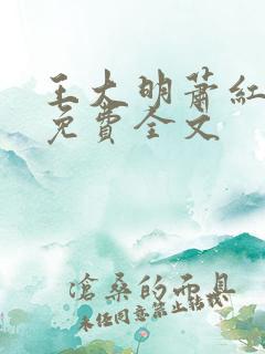 王大明萧红小说免费全文