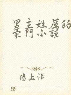 男主姓厉的总裁豪门小说