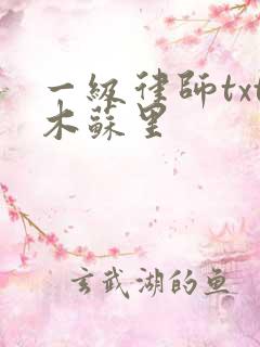 一级律师txt木苏里