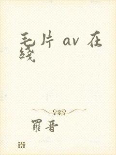 毛片 av 在线