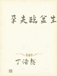 孕夫临盆生子文