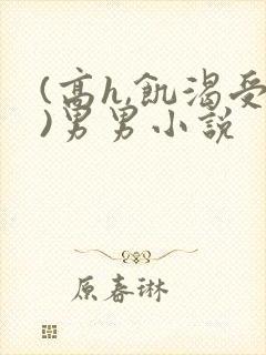 (高h,饥渴受)男男小说