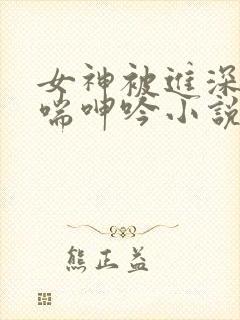 女神被进深处娇喘呻吟小说