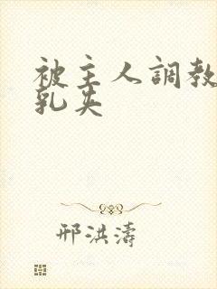 被主人调教惩罚乳夹