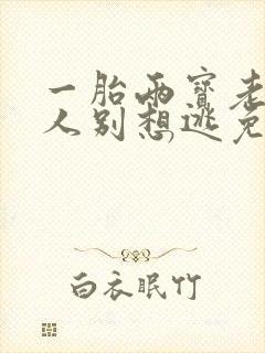 一胎两宝老婆大人别想逃免费阅读