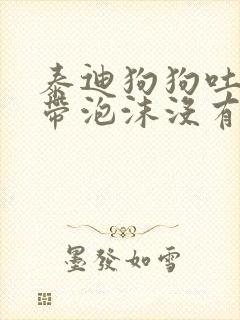 泰迪狗狗吐黄水带泡沫没有拉肚子精神走路