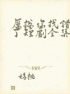 厉总你找错夫人了短剧全集免费观看