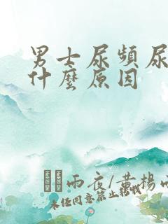 男士尿频尿少是什么原因