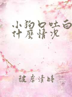 小狗口吐白沫是什么情况