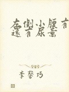 左侧小腹有点胀还有尿意