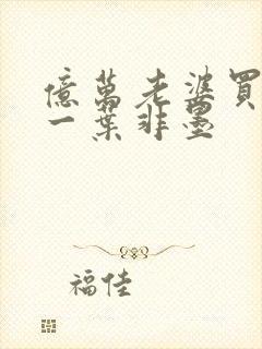 亿万老婆买一送一叶非墨