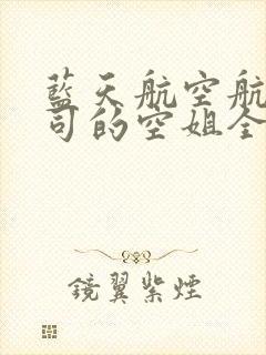 蓝天航空航天公司的空姐全文免费阅读