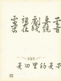 电视剧妻子的秘密在线观看