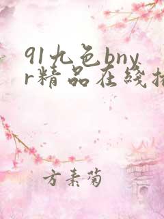 91九色bnyr精品在线播放