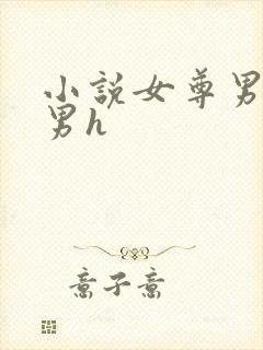 小说女尊男卑虐男h