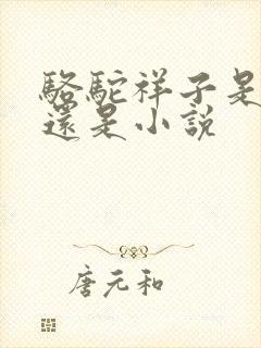 骆驼祥子是散文还是小说