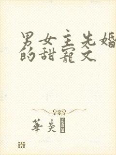 男女主先婚后爱的甜宠文