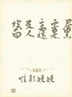 埃及主要居民是白人还是黑人