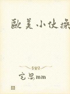 欧美小伙操老熟